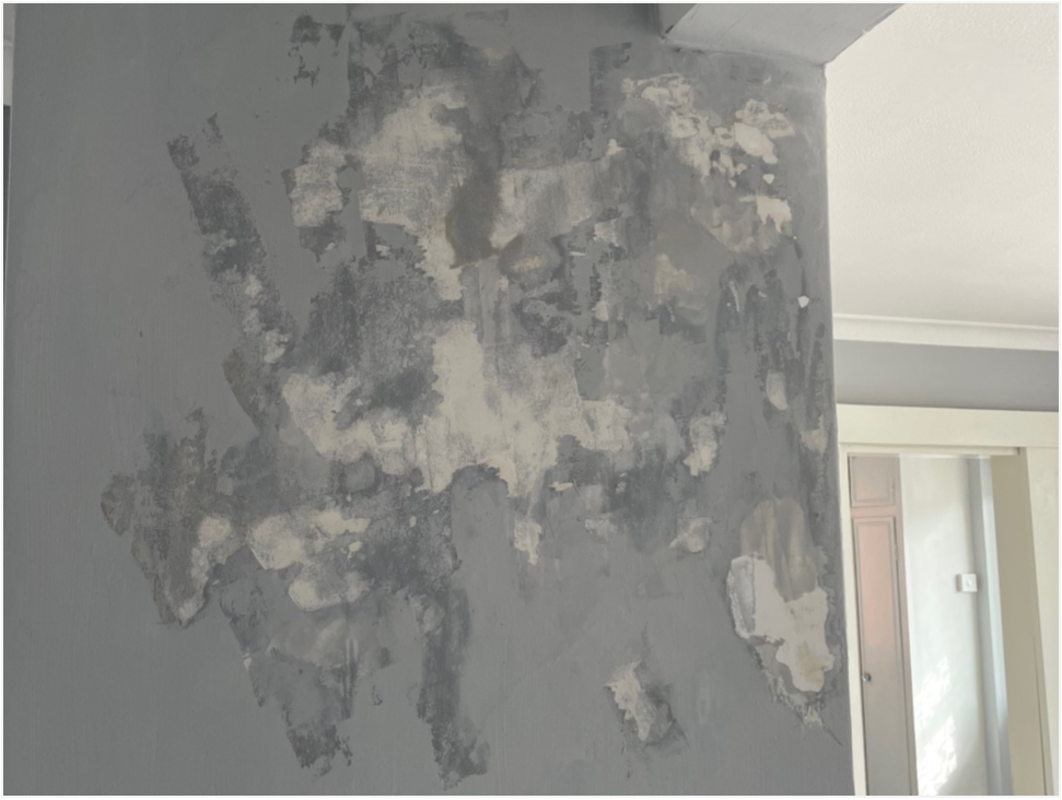 Flaking Paintwork